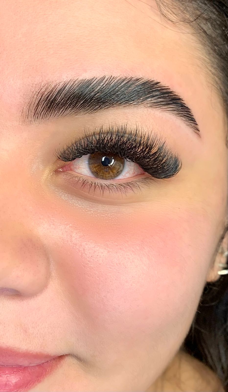 Volume 6D + Brow Lamination